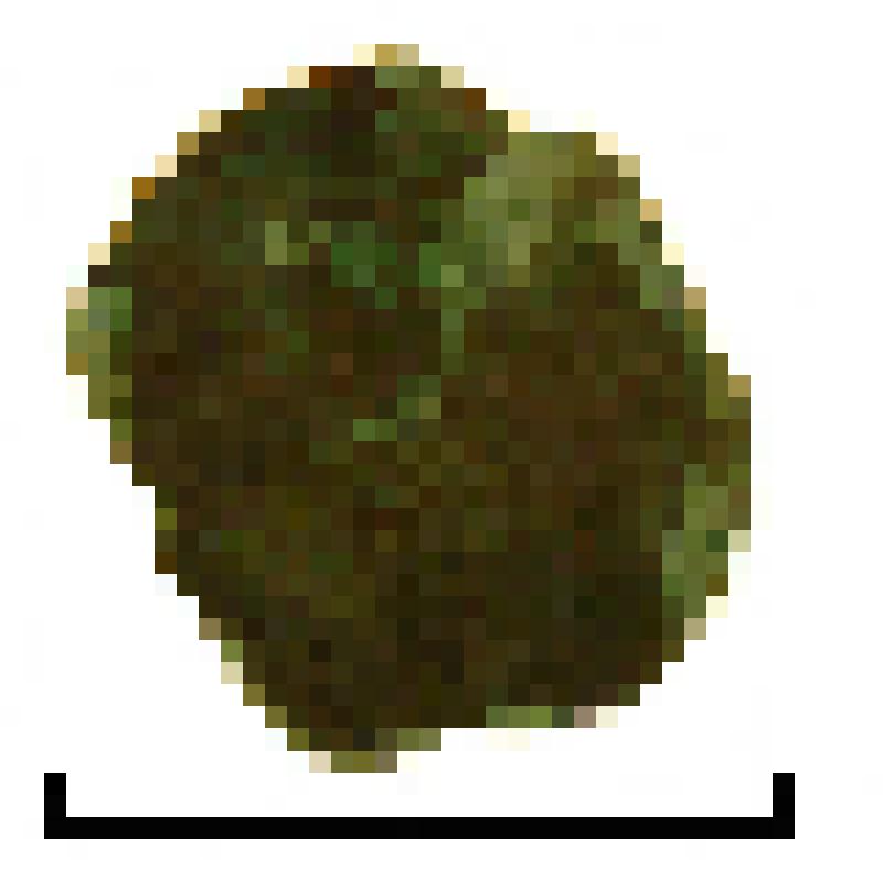 Бляшка