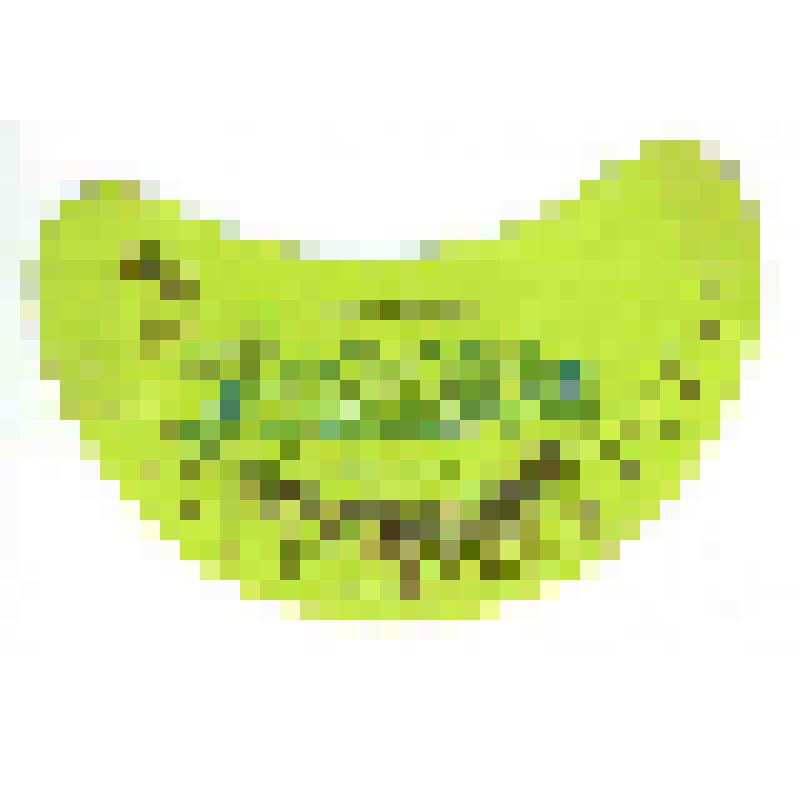 Кольеретка-этикетка горловая к напитку «Тархуновый» производства Центросоюза, из коллекции кольереток – этикеток горловых к безалкогольным напиткам