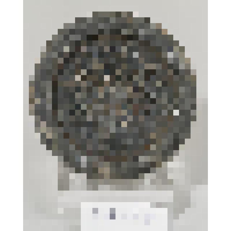 Блюдце с узким краем устья и процарапанным изображением восьмилепестковой розетты