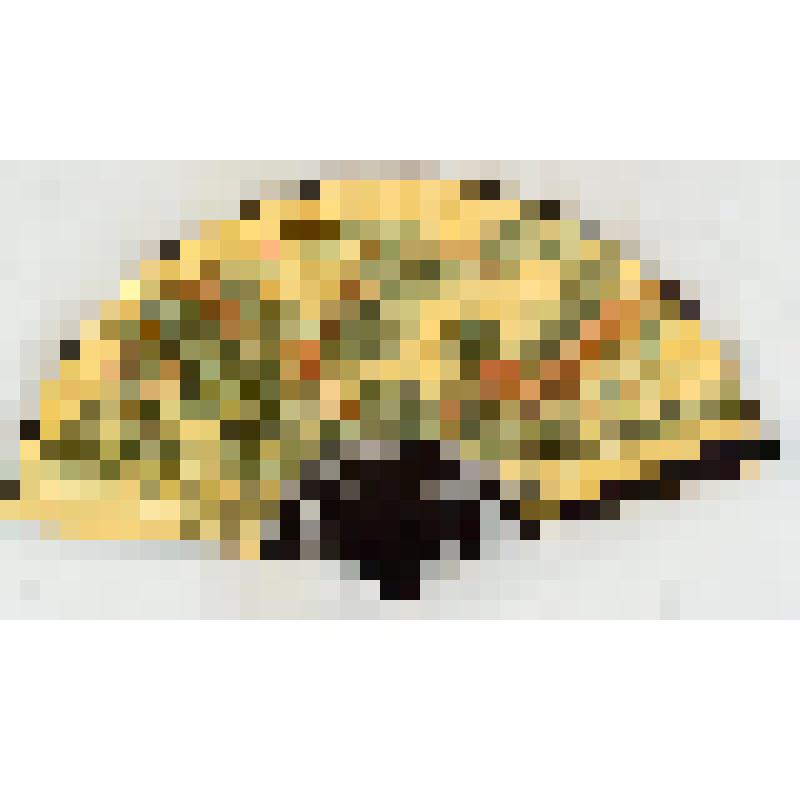 Веер китайский