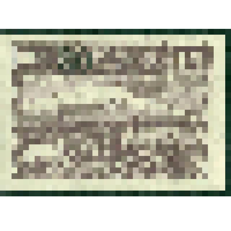 Марка почтовая. 1922 г. Армянская ССР. 500 р. Крестьянин. Новый номинал 20 к. Армянская ССР