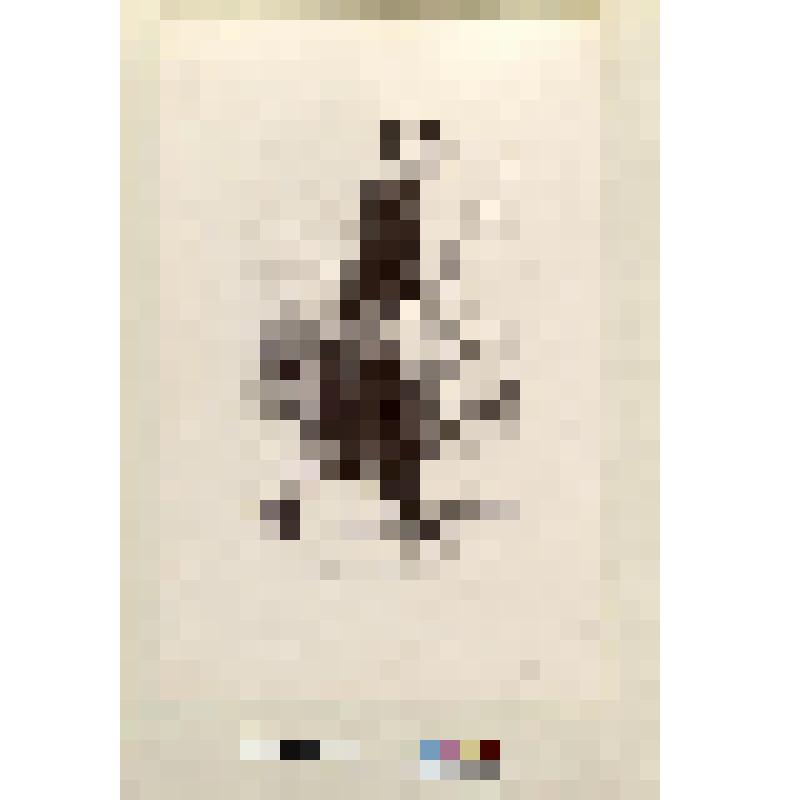 Иллюстрация в полный лист к роману Э. Сю "Тайны Парижа"