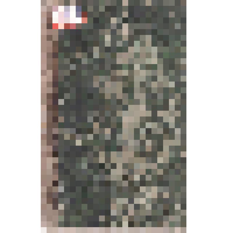 Книга. Деяния Петра Великого, мудрого преобразователя России, собранные из достоверных источников и расположенные по годам. Т. 1. 2-е изд. М.: В типографии Н. Степанова, 1837