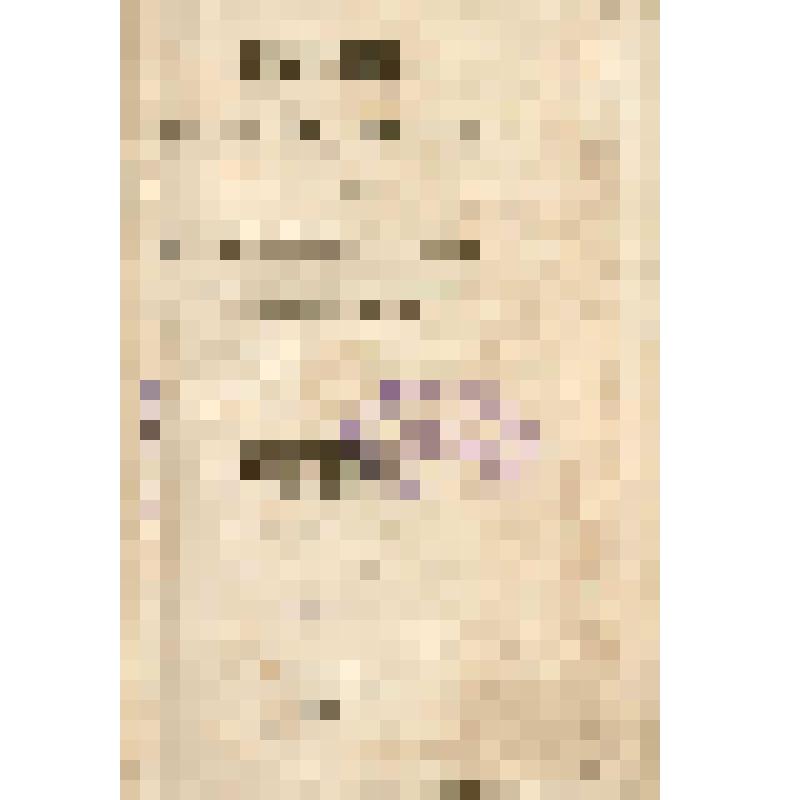 Книга. Деяния Петра Великого, мудрого преобразователя России, собранные из достоверных источников и расположенные по годам. Т. 1. 2-е изд. М.: В типографии Н. Степанова, 1837