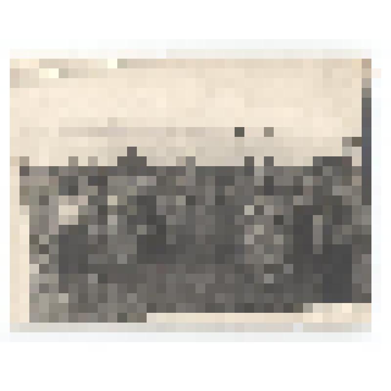 Фотография групповая. Трунова И.А. берет интервью у кормозаготовителей