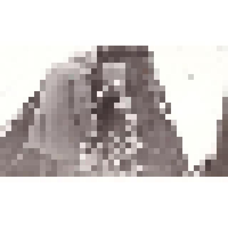 Альбом "40 лет освобождения Речицы 1943-1983 гг." Фото 35