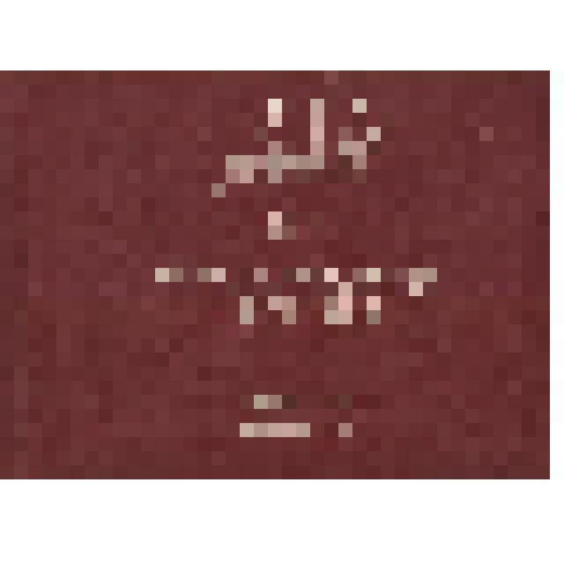 Альбом "40 лет освобождения Речицы 1943-1983 гг." Фото 35