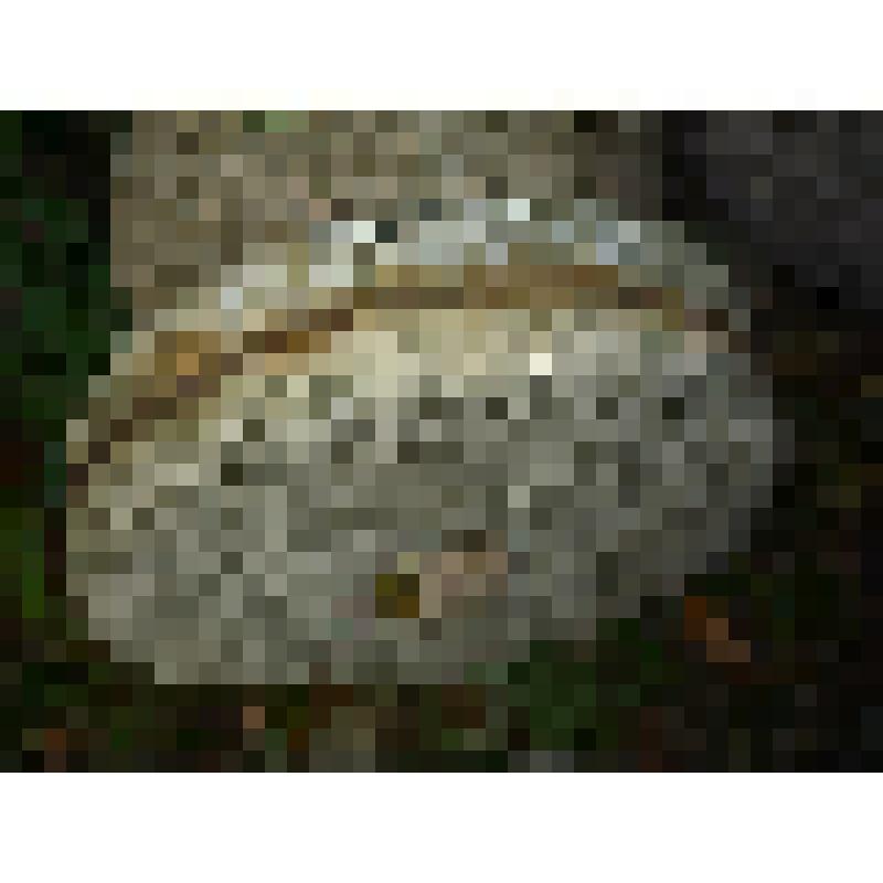 Жернов каменный с оплёткой из проволоки