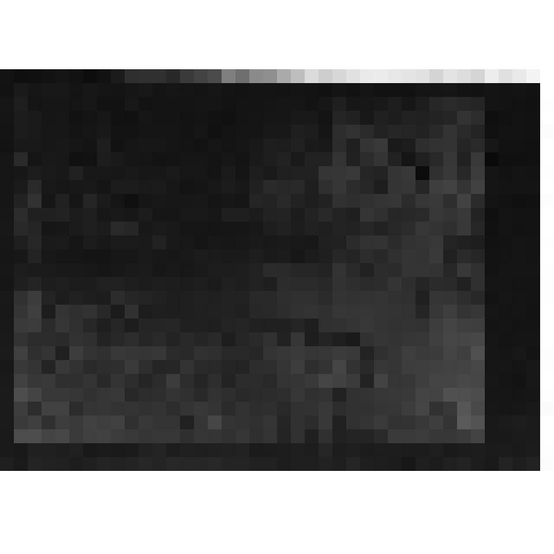 Негатив на стекле. Середниково. Усадьба Д.А. Столыпина