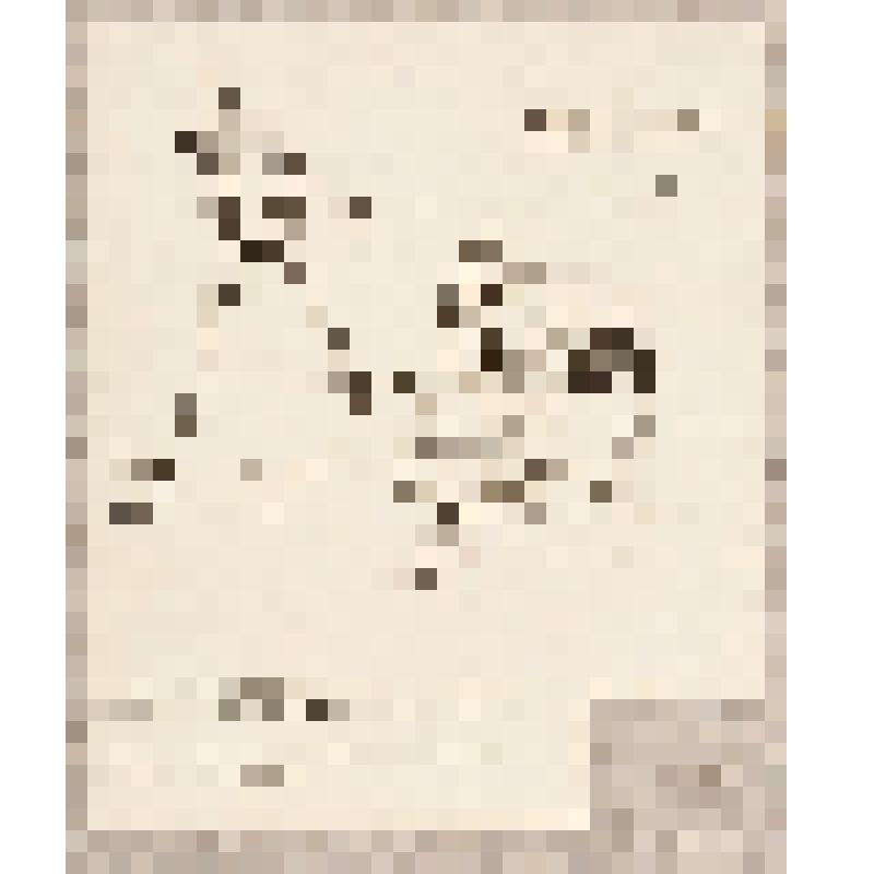 Карикатура, из альбома  «190 пейзажей; зарисовки, иллюстрации, карикатуры»