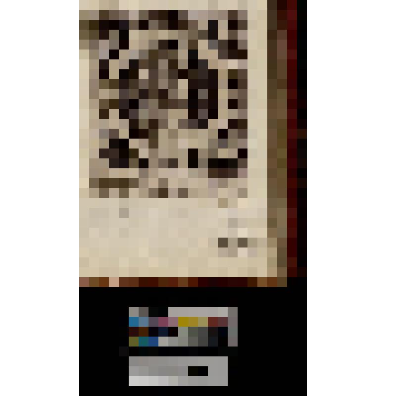 Октавиан Август. "Diuus. Augustus. Pater"