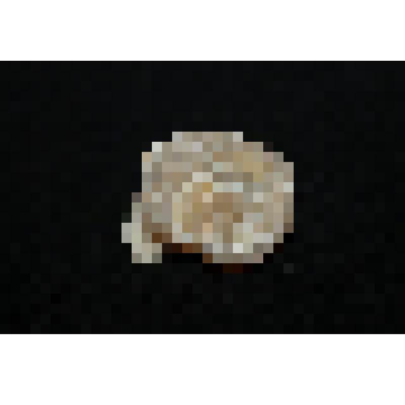 Минерал. Осколок сталактита "Египетский оникс"