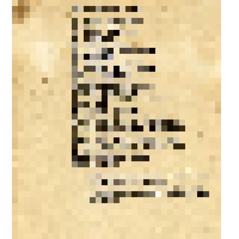 машинописный текст песни "Весёлая беседушка"