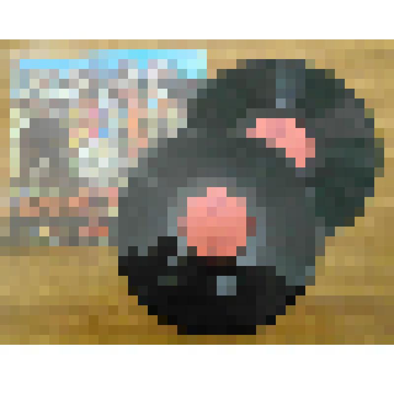 Грампластинка. Грампластинка. THE  BEATLES «Оркестр клуба одиноких сердец сержанта пеппера». Продюсерский центр рок-н-ролльных приходов    Единой Евангелическо-лютеранской Церкви России. Спб.,1992. Пластинка вложена в бумажный конверт 