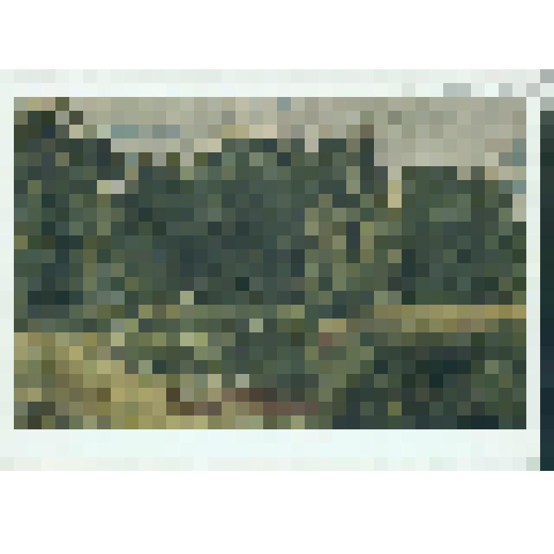 Пруд в старом парке, ГТГ. Репродукция работы худ. Шишкина И. И