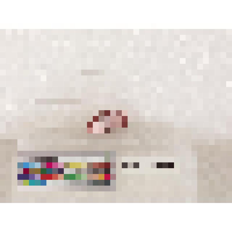 Фрагмент заготовки для овального плоского амулета