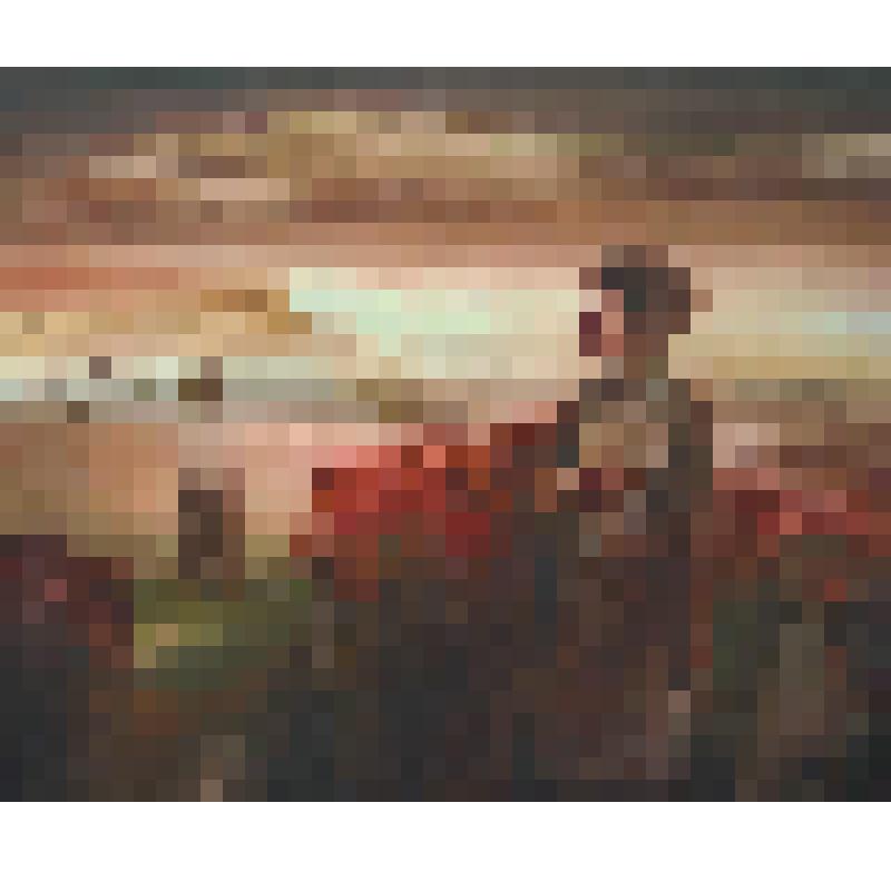 акварель. Лето. Дикая вишня