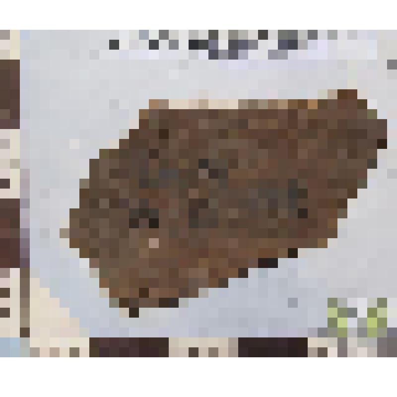 Стенки красножгущегося сосуда фрагмент