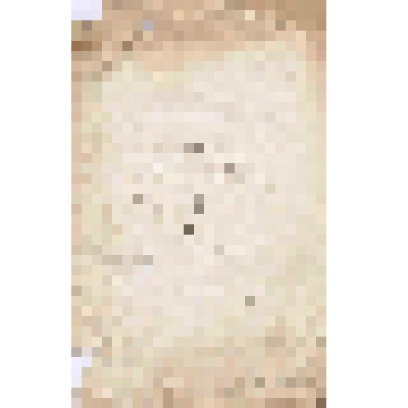 Титульный лист книги "Выборка товара продано за деньги Чердынского купца Н.П.Алина. 1917 г