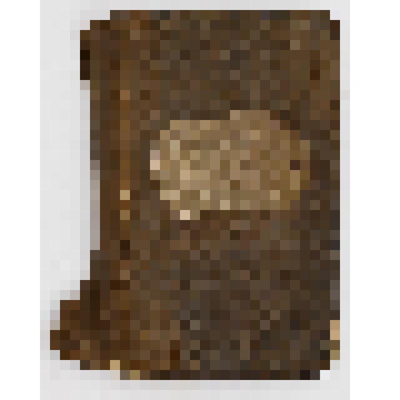 Книга «Канонник»