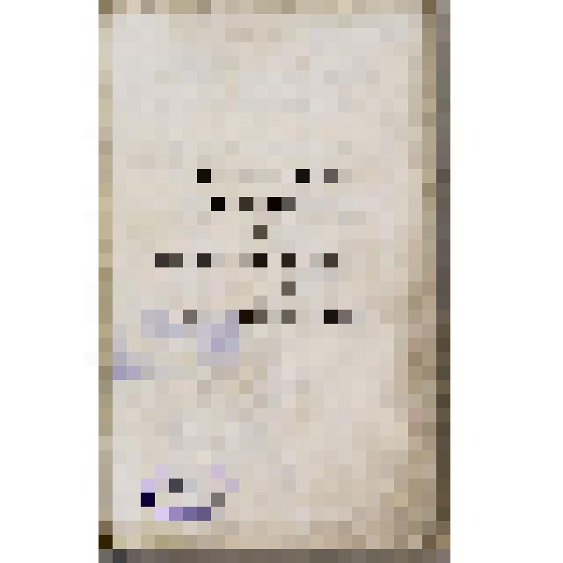 Книга. Dictionnaire technologique, ou nouveau dictionnaire universel des arts et métiers. Tome vingt-unième