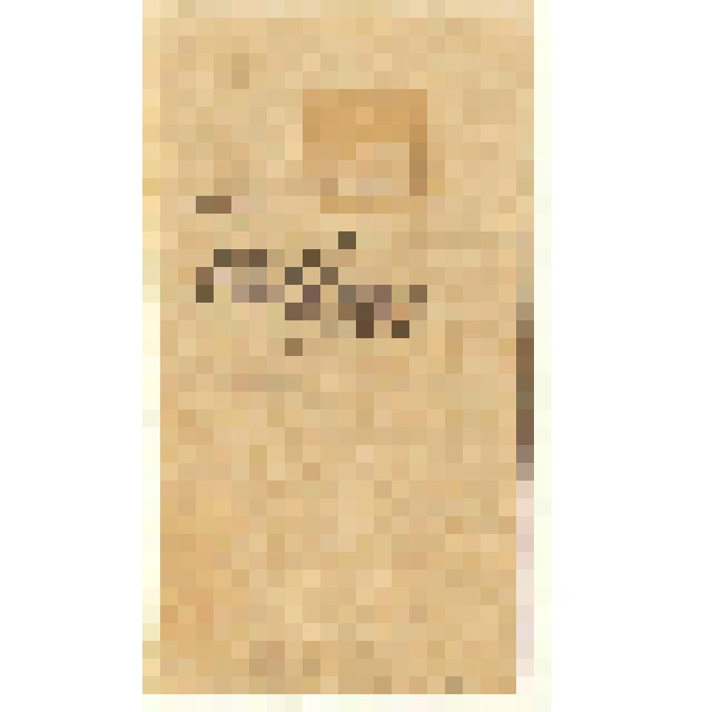 Марки почтовые. Марка почтовая. 20 коп. (коричневый). "Гербовая марка" с изображением короны Российской империи