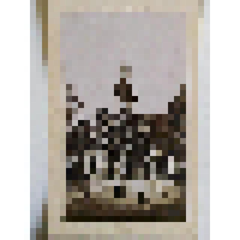 Киево-Печерская лавра, г. Киев. Киево-Печерская лавра. Церковь Троицы над Святыми воротами, из альбома. Общий вид из монастыря. Издатель не указан