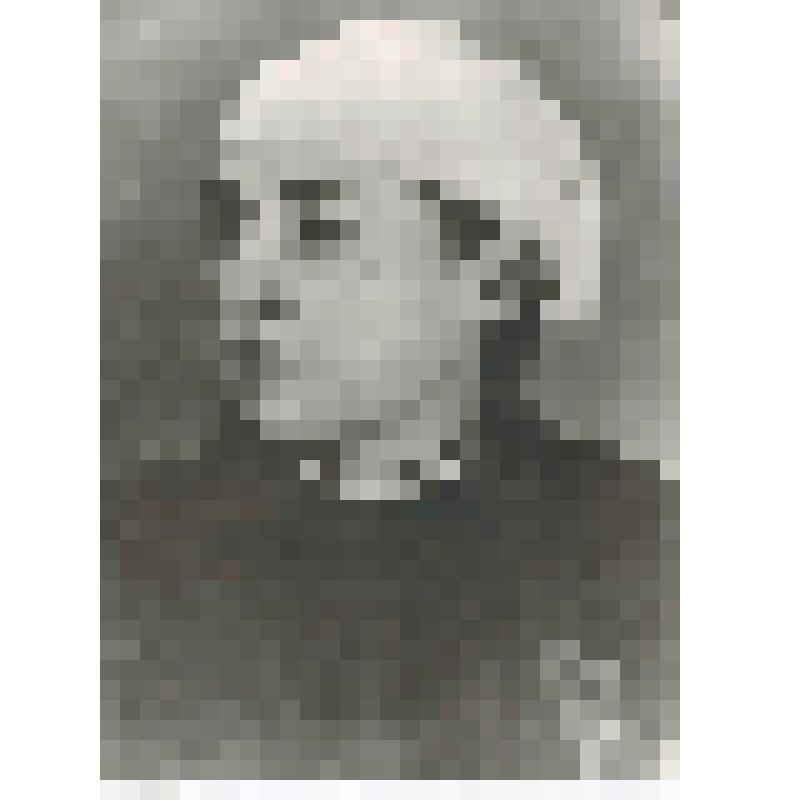 Фотокопия. Толлик Янина, польская художница, узница фашистского концлагеря