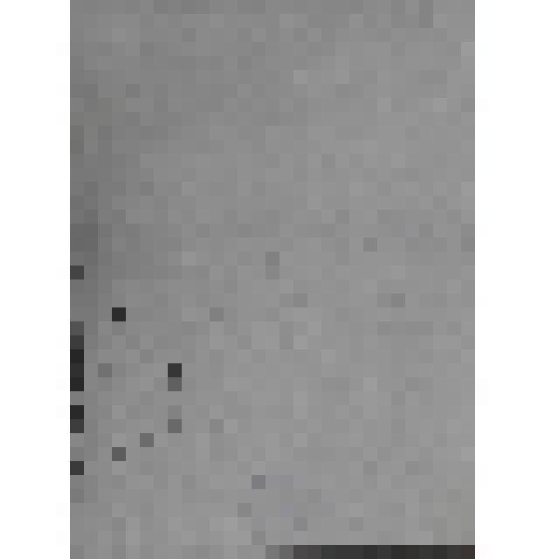 Портрет Иоганна Филиппа ФФрезениуса