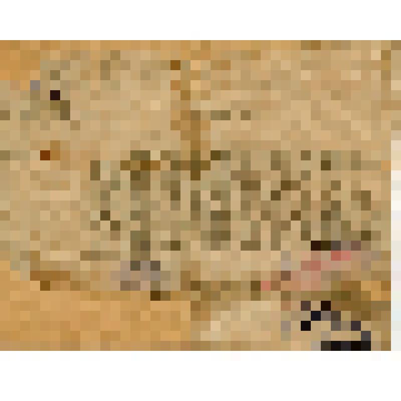 Аттестат 6998 на Райпродкомиссара Соколовского Л.И