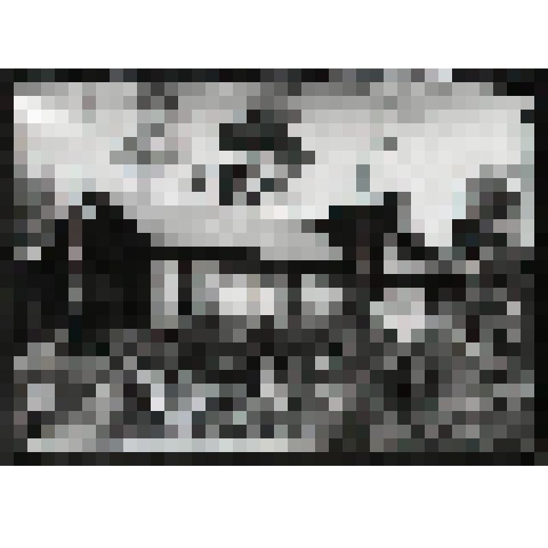 Негатив. Клуб в Ильменском заповеднике. Из коллекции негативов по Ильменскому заповеднику