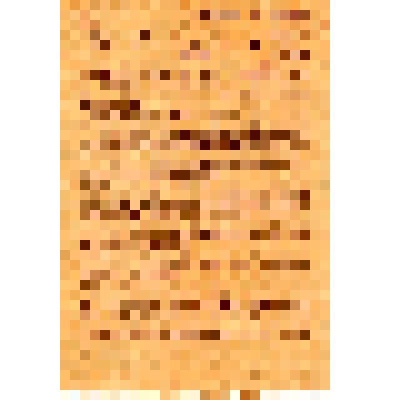 Группа делегатов на II конгресс коммунистического Интернационала и др. К красноармейцам, рабочим и крестьянам Западного фронта