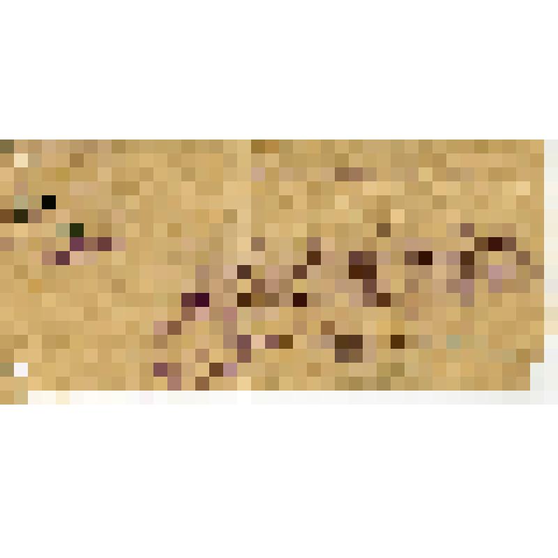 Удостоверение приемной комиссии Всероссийского об-ва старых большевиков на имя Качаровской А.С. о ее приеме в общество