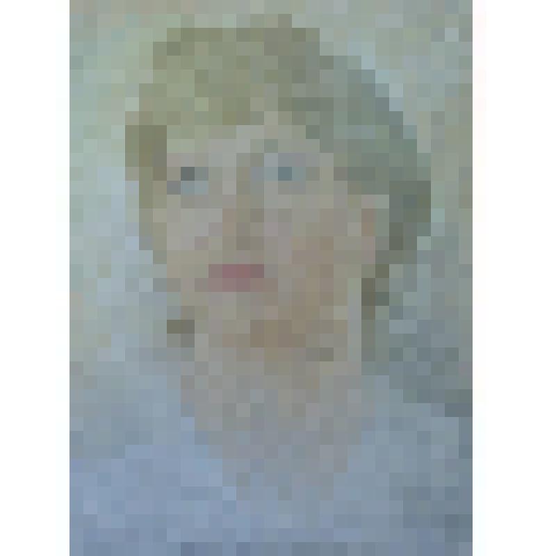 «Портрет женщины» подмалёвок