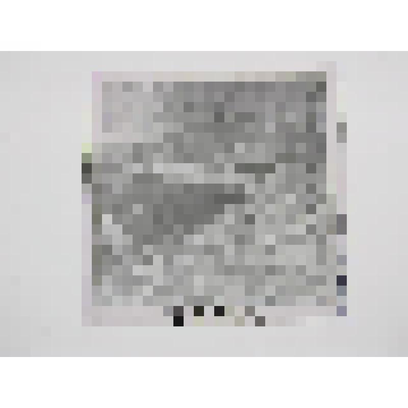 Хозяйственная постройка. Усадьба Мураново. Вторя половина XIX в. Московская обл., Пушкинский р-н, Мураново. Хозяйственная постройка. Усадьба Мураново.Вторая половина XIX в. Теплицы. Археологические раскопки фундаментов теплицы. Общий вид