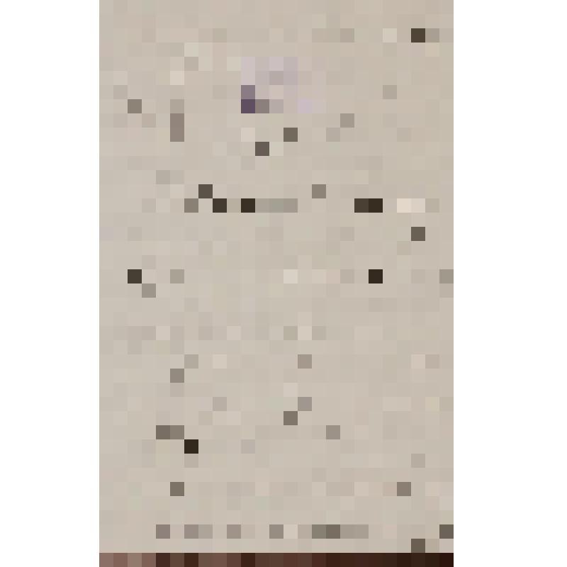 Киреев А. Письмо Островскому А. Н. с просьбой от Великого Князя Константина Николаевича принять в театр певицу А. П. Белоху