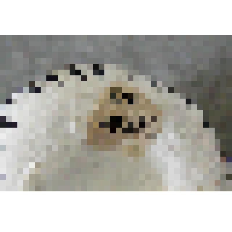 Игрушка глиняная. Плачущая хантыйская девушка