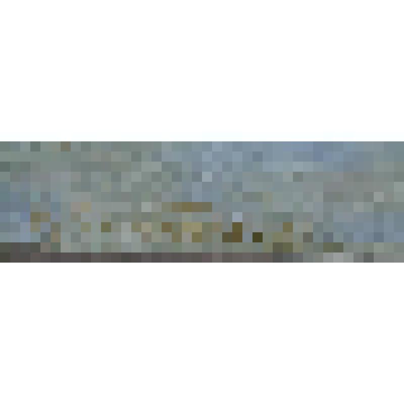 Картина. Конец зимы