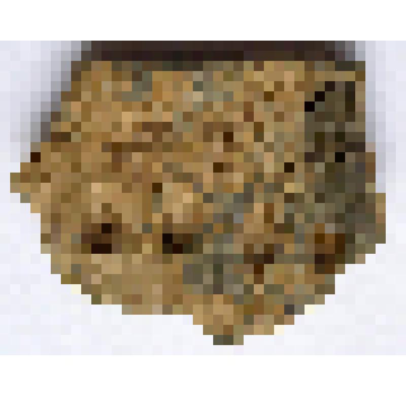 Фрагмент венчика сосуда