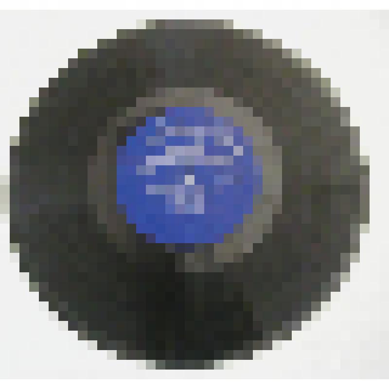 Грампластинка. Ленин в Горках. Литературно-музыкальная композиция