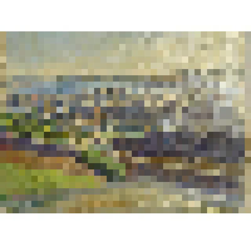 Пейзаж. Вид на бухту в Камаре-сюр-мер