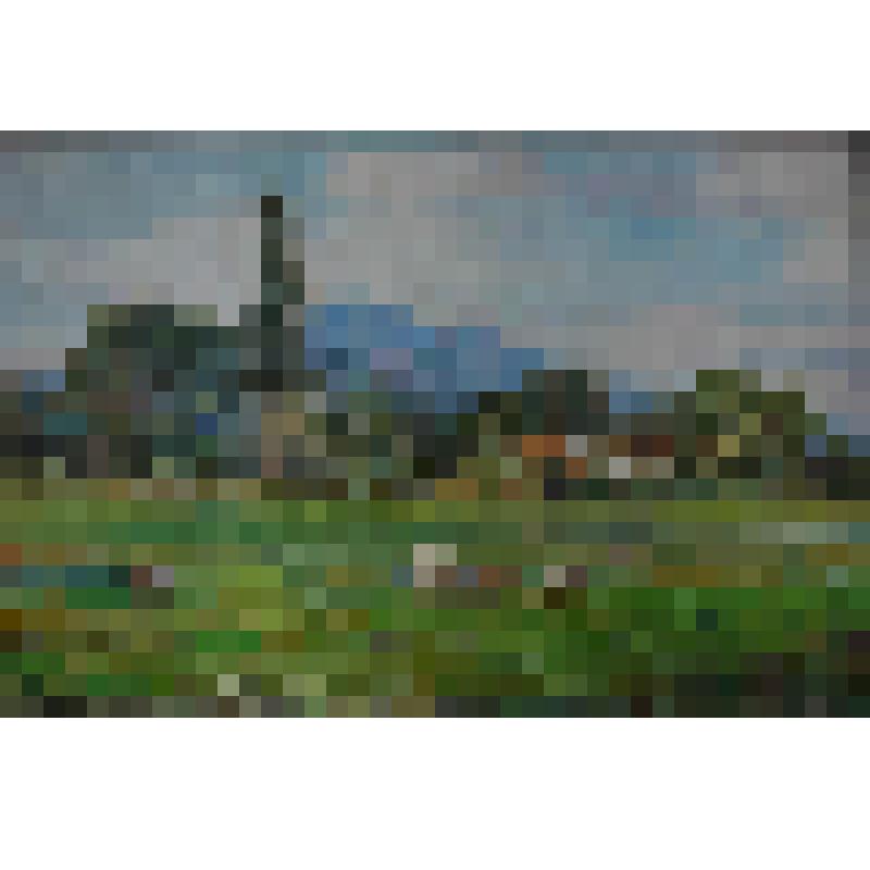 Баран-Эли. Картина