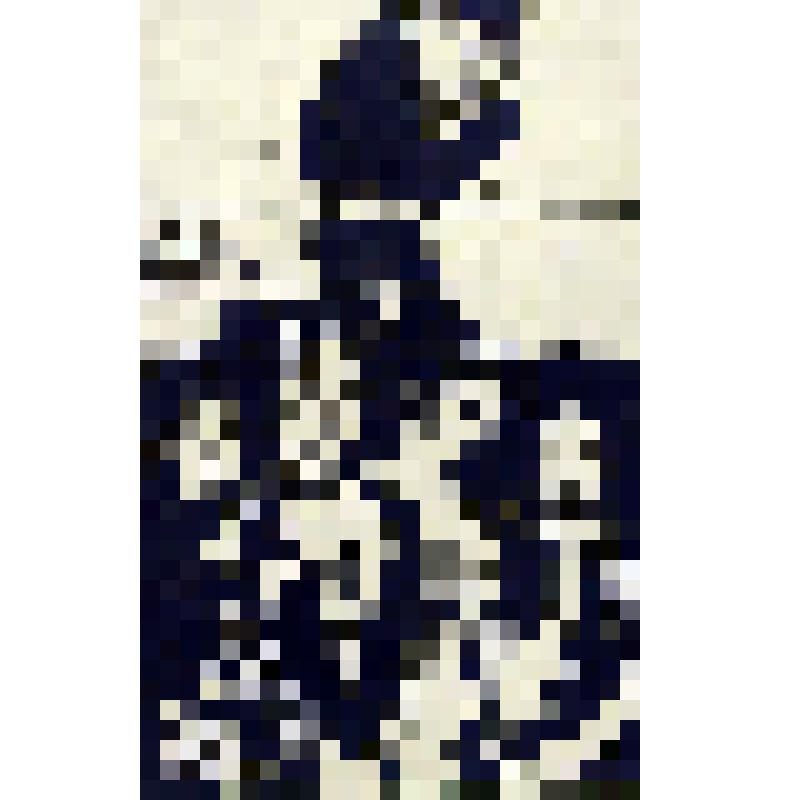 Лист 5. Из комплекта: Иллюстрации к повести А.К. Толстого "Похождения Невзорора или Ибисусус"