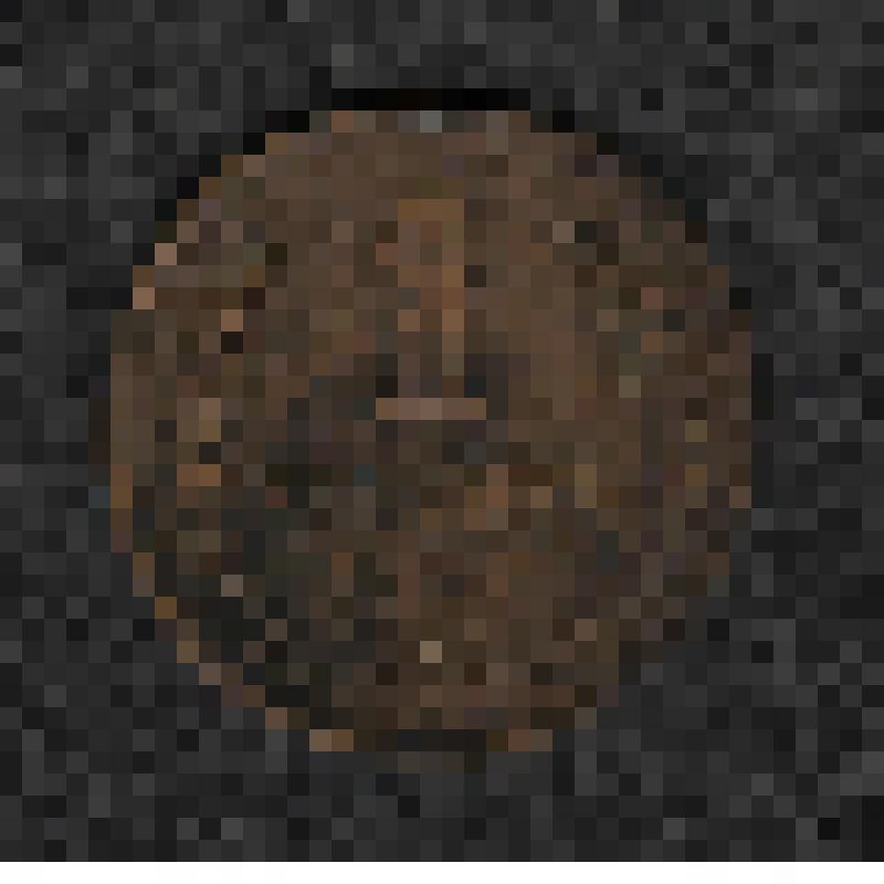 Монета. 1 копейка. СССР страна