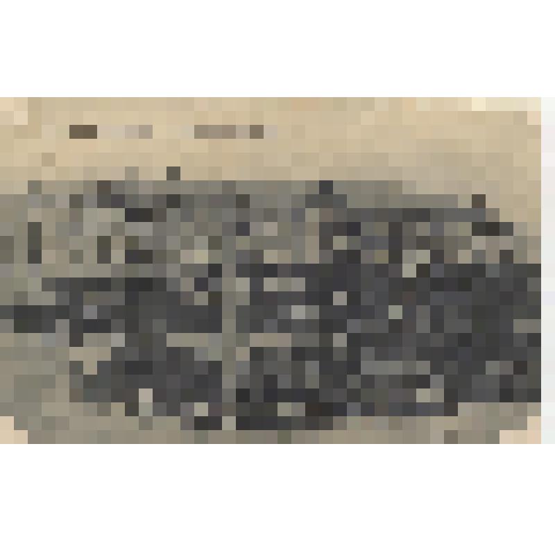 Почтовая карточка «Г. Царицын н/В. Столичные номера»