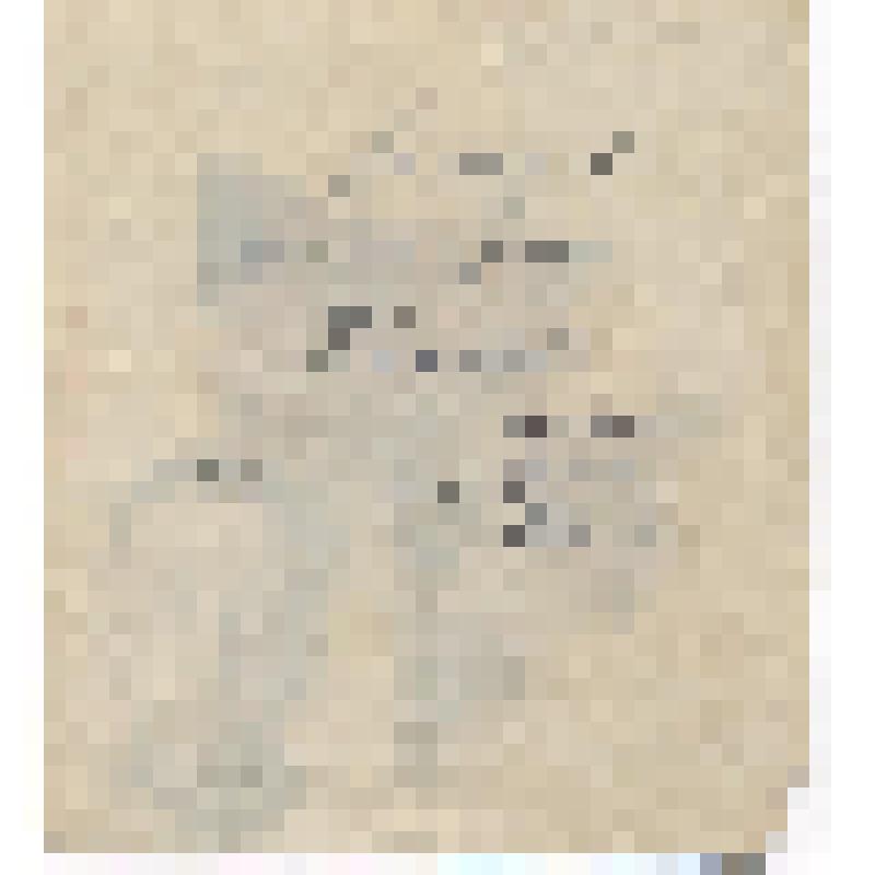 Открытка самодельная. Сделана Зубковым В.И. для дочери Тамары