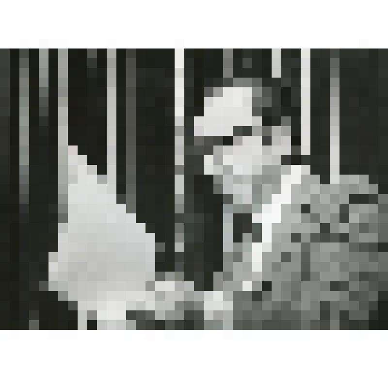 Фотография. Д-р Спиви - В. Гилинов стоит, погрудно, 3/4 вправо, в очках, в согнутых руках - бумаги. "А этот выпал из гнезда" (пост. Б. Голубовский, худ. Б. Мессерер). Москва, Театр им. Н.В. Гоголя (железнодорожного транспорта)