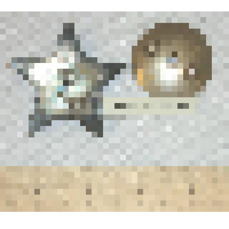 Орден Красной Звезды Захарова Александра Федоровича, ветерана Великой Отечественной войны