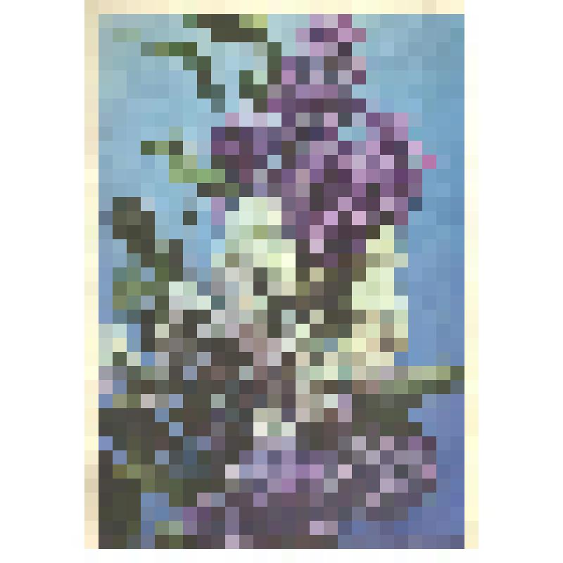 Документальный фонд/Документы по здравоохранению. Поздравление с высокой наградой-орденом Трудового Красного Знамени от коллег