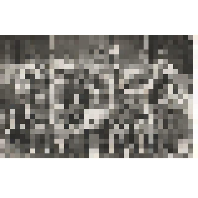 Фотография. Бронникова Клара Ивановна, учитель начальных классов школы №56 с учениками 1 класса